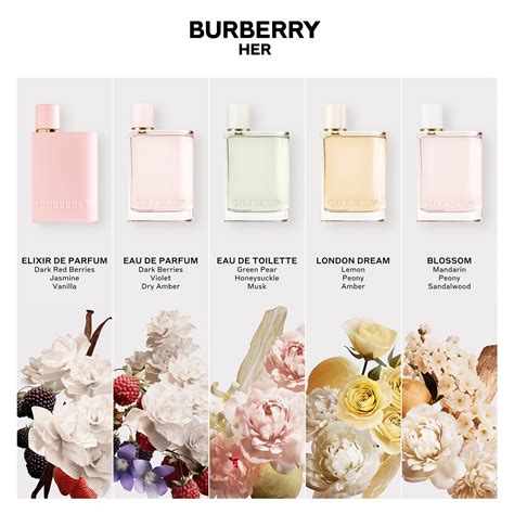 burberry her notes|burberry her vs elixir.